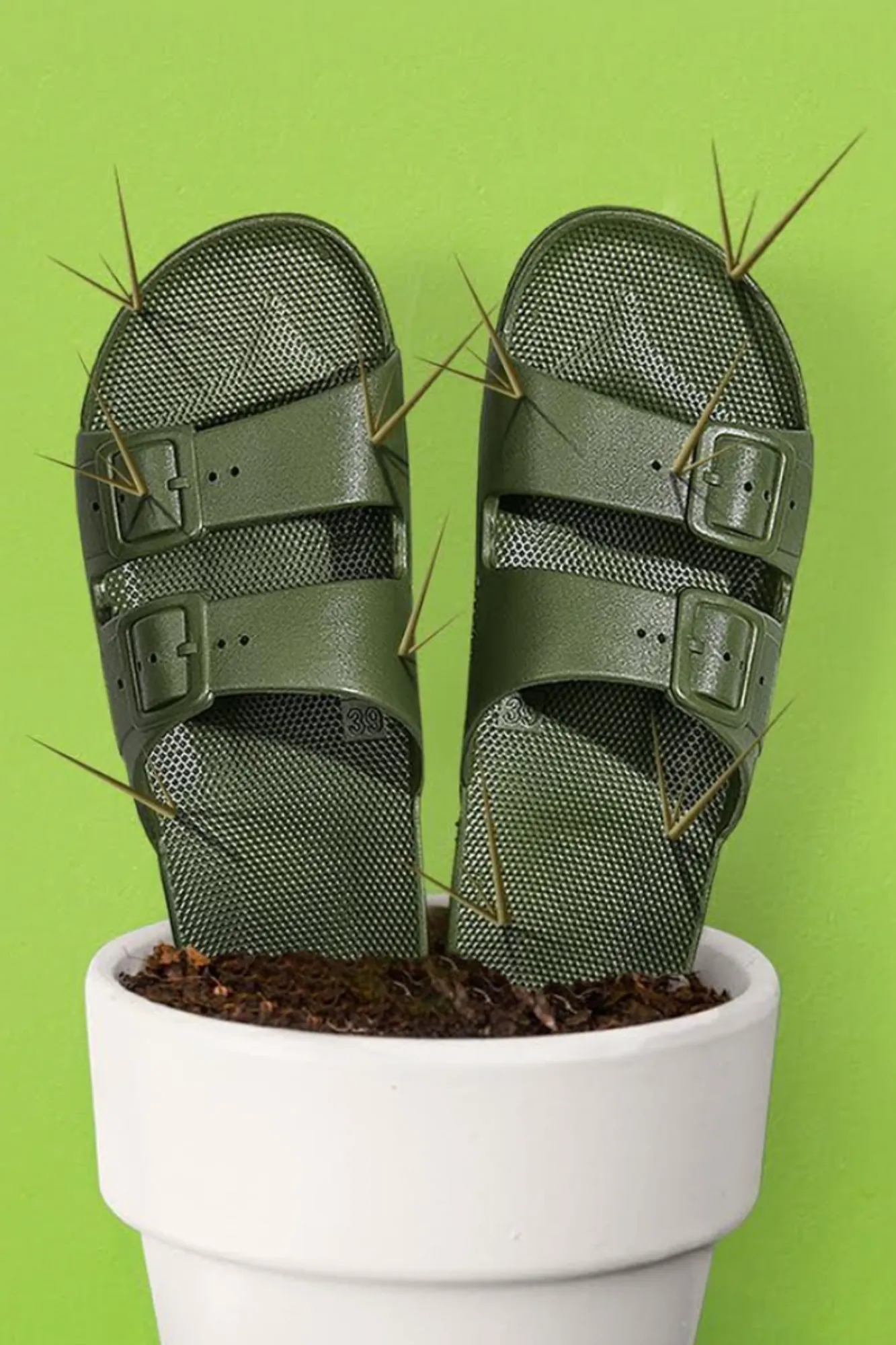 Freedom Moses Slides Cactus